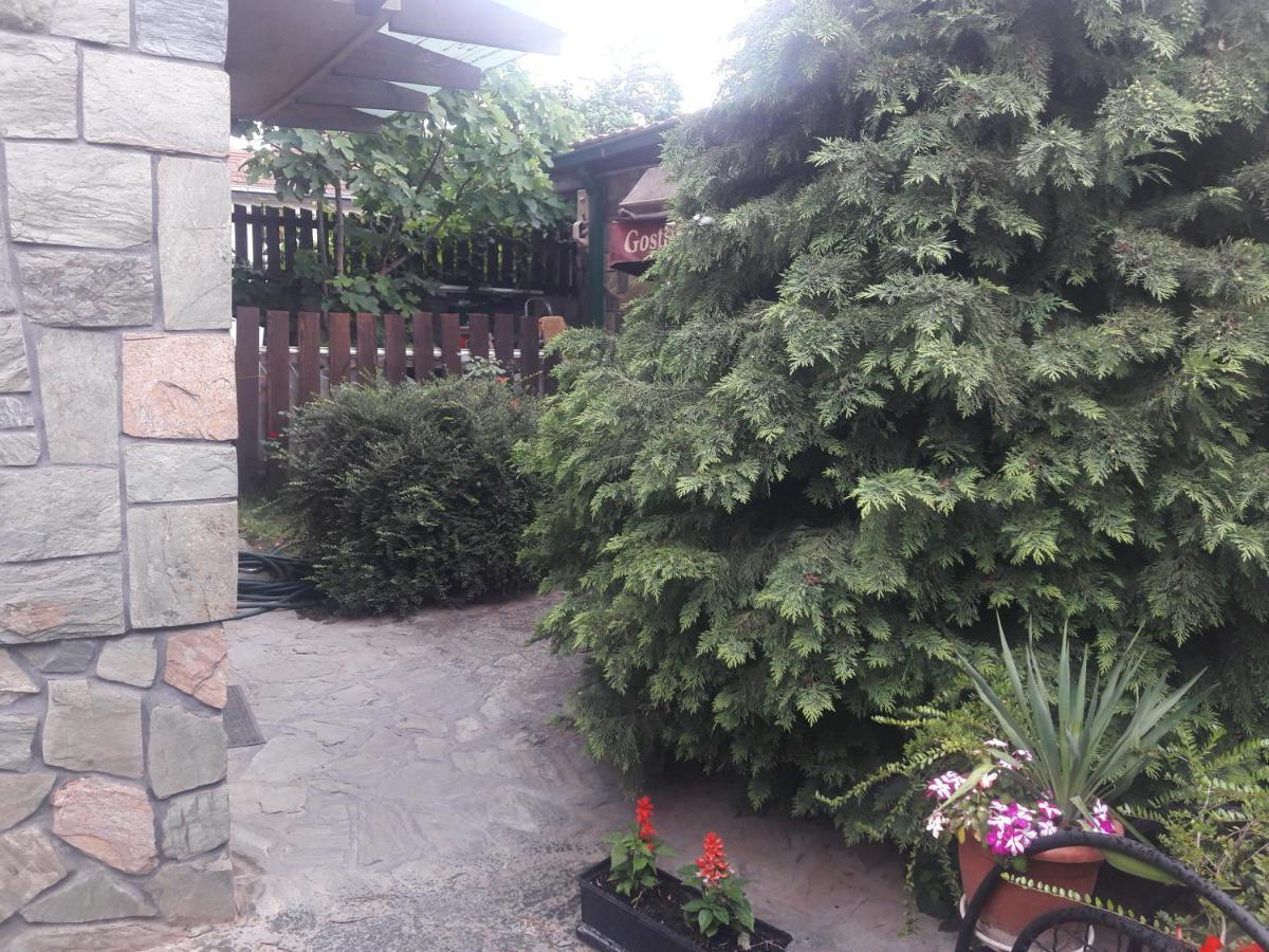 Villa Iva Skopje Esterno foto